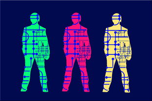 kaiyun网站-高校体育专业人才培养质量保障体系，体育人才培养方案心得体会